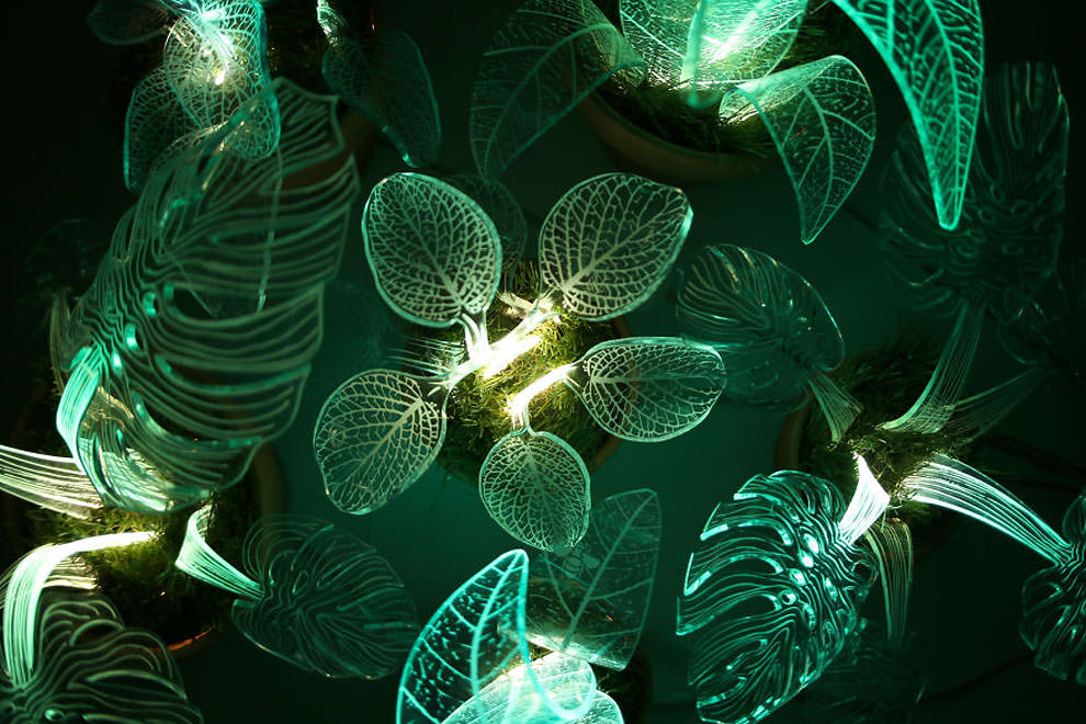 artista crea delle piante sempreverdi fosforescenti che si illuminano al buio